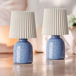 Set of 2 Mini Printed Ceramic Base Table Lamps with Printed Pleated Shades